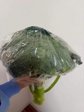 「デデデカイ」道の駅で見つけた120円ブロッコリー→店員も思わず笑う衝撃のサイズ　「重量感はまるでかぼちゃ」