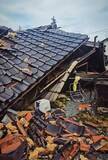 「【熊本地震】全壊した家から消えた兄弟猫　「ふたりとも生きて帰ってほしい」必死の捜索で家族と再会」の画像1