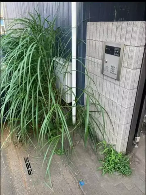 「草がすごいので8800円」管理会社から除草費を請求される→大家が契約書を確認、指摘すると…