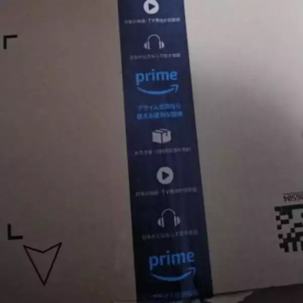 「空かと思った」通販で届いた“大きな段ボール箱”を開けて絶句…中にあったのは電池2本だけ「これは新記録」「笑わせてくれてありがとう！」