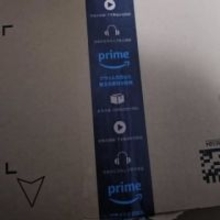 「空かと思った」通販で届いた“大きな段ボール箱”を開けて絶句…中にあったのは電池2本だけ「これは新記録」「笑わせてくれてありがとう！」