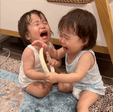 1歳の双子、ケンカ勃発で号泣→かけつけた2歳の小さなママ、最後には…「泣き顔が瓜二つ」「優しいお姉ちゃん♡」