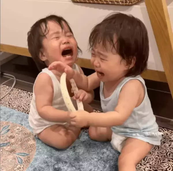 1歳の双子、ケンカ勃発で号泣→かけつけた2歳の小さなママ、最後には…「泣き顔が瓜二つ」「優しいお姉ちゃん♡」