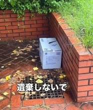 大雨でふやけた段ボールに「へその緒がついた子猫」4匹　全身ずぶ濡れで体温も下がり危機的状況も…発見者の機転でつながった小さな命たち