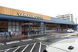 「兵庫県播磨発、独自路線の注目スーパー「ヤマダストアー」、西宮出店が話題で売り上げ更新中　次は梅田…どんな店に？」の画像1