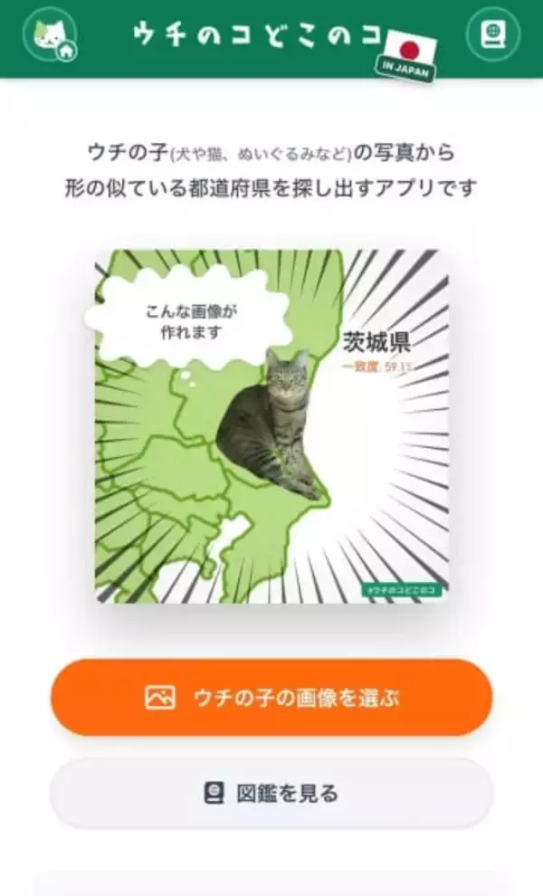 うちの猫が似ているのは……アプリが教えてくれる結果にビックリ　完成したら日本地図に！？