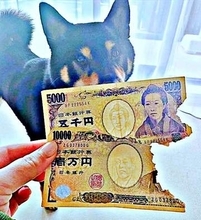 愛犬にかじられた1万円札…理由欄に「犬に食べられました」と書いて日本銀行へ持参したら？ 気になる結末に反響