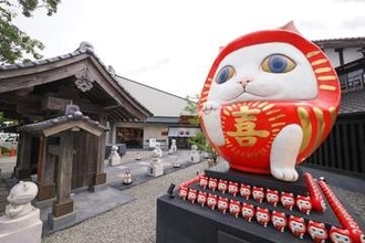 「奇跡の猫石」で開運も！　猫好きの間で注目　大分・湯布院に寺院風開運ミュージアム「猫猫寺 湯布別院」がオープン　秘蔵コレクション展示＆オリジナルグッズがずらり