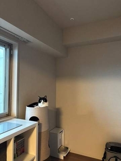 「薬？ 飲みましたが？」みたいな顔してるけど…　ごはんを完食した元保護猫、皿に残った1粒の「動かぬ証拠」に飼い主爆笑