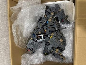 1年間の展示から戻ったレゴのゴジラ　届いた箱を開けた瞬間…4000ピースの大作の変わり果てた姿に絶句　「そっ閉じしました」