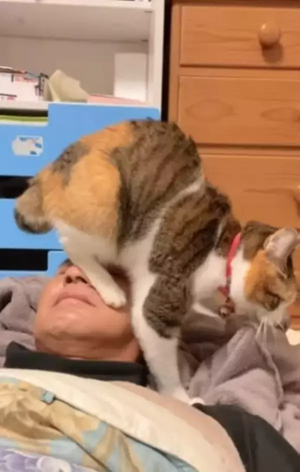 パパさんの「顔の上でフミフミ」する保護猫…それでもパパは決して動かず「愛が海より深い」「どうしてこうなった」と反響