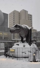 「氷河期みたい」福井駅前の恐竜ロボット、大雪の中でも動き続ける姿に驚き「日本の技術凄い」