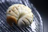「「ふざけてません…真剣です」京都の老舗和菓子店　次はカブトムシの幼虫　職人が手がけたゲテモノ和菓子　見事な造形に「気持ち悪いくらいリアル」」の画像1