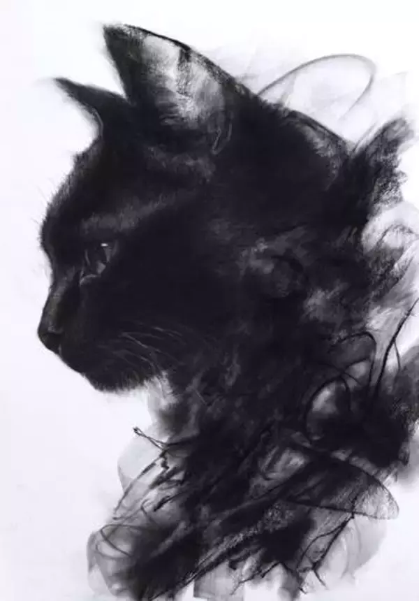 「木炭で描いた黒猫」の絵に称賛の声「黒なのに濃淡があるのがすごい」「言葉にならない何かが伝わってくる」