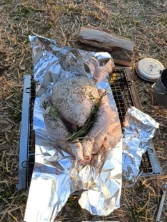 「友人と焚き火に来ましたが、もうちょっと考えて生きようよ、という方向で話がまとまりました」鶏の丸焼きは簡単にはできない！？→「ただただアルミホイルで挑む姿勢は素晴らしい」