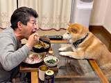 「圧がすごい…晩酌中のパパを真正面からガン見する柴犬　二足立ちで無言アピールする姿に「食べたいよね」「だいぶ前のめりですね」」の画像1