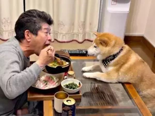 圧がすごい…晩酌中のパパを真正面からガン見する柴犬　二足立ちで無言アピールする姿に「食べたいよね」「だいぶ前のめりですね」