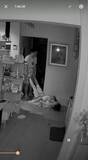 「深夜2時、ホームカメラに映っていたのは…妻の足を持って引きずる「運び屋」　一体何が！？「事件のにおいしかしない」」の画像1