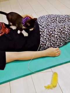 「踏まれる幸せ」保護した子猫との遊びで、ママが編み出したのは…愛らしい光景に「凄い技ですね」「私も踏まれたい」「幸せそう」