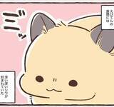 「2泊3日の東京出張→飼い主さんが不在中ハムスターに異変　眉間にできた深いしわ、「急に老けた？」【漫画】」の画像1
