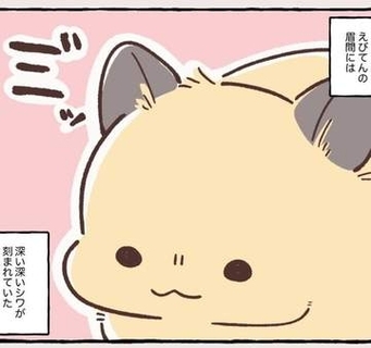 2泊3日の東京出張→飼い主さんが不在中ハムスターに異変　眉間にできた深いしわ、「急に老けた？」【漫画】