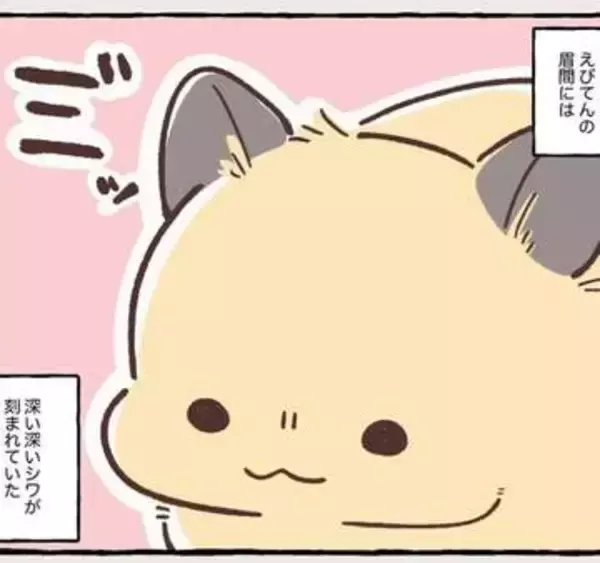 2泊3日の東京出張→飼い主さんが不在中ハムスターに異変　眉間にできた深いしわ、「急に老けた？」【漫画】