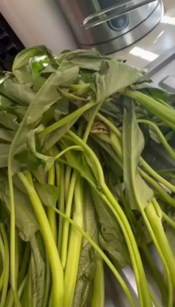 空芯菜を料理しようとしたら、“思わぬ生き物”がひょっこり！　冷蔵庫に1日いたのに元気…手に乗せ草むらへ「ディズニープリンセスみたい」