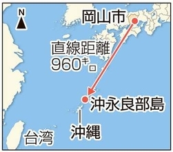 沖永良部島で捕獲されたチョウ、約1000キロ飛んだ個体だった　岡山でマーキングした女性「羽ボロボロでも再会できて胸がいっぱい」