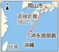 沖永良部島で捕獲されたチョウ、約1000キロ飛んだ個体だった　岡山でマーキングした女性「羽ボロボロでも再会できて胸がいっぱい」