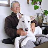 「歩けず食べられなかったシニアの元保護犬　98歳のじぃじの手作りノーズワークマットで回復→再び散歩へ　「素敵なご家族で泣く」」の画像1