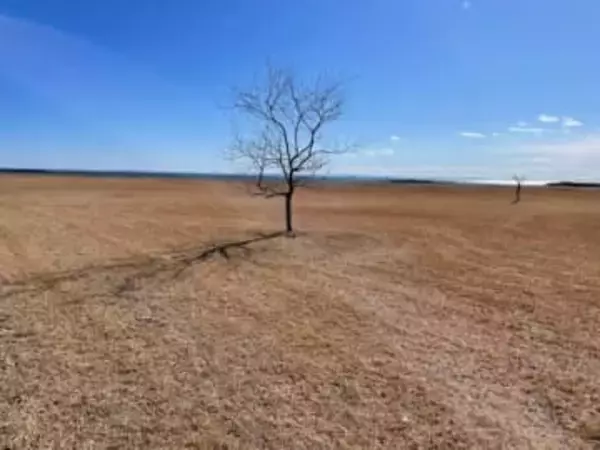 東京23区内で撮影された｢写真｣に絶句…「アフリカと思った」「ナミブ砂漠に似ている」　実は、人気施設も写りこんでいた？