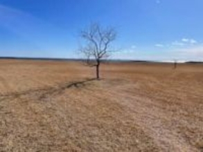 東京23区内で撮影された｢写真｣に絶句…「アフリカかと思った」「ナミブ砂漠に似ている」　実は、人気施設も写りこんでいた？