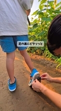 これがスマホで一発撮り？　ひまわり畑を歩く7歳息子…靴裏から広がる夏の原風景に「映画のワンシーン」「このテクニック使ってみたい」