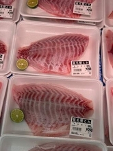 磯釣りの代表的な外道　味の評価が大きく分かれるサンノジが鮮魚コーナーでパック販売　「ちゃんと締めればおいしい」「意外といける」