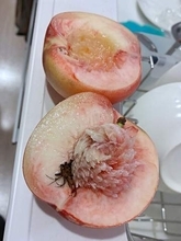桃を切ったら「虫のようなもの」が…2度の発見に困惑、これは何？ 桃農家から寄せられた見解に「知らなかった！」「すごい」
