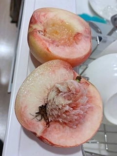 桃を切ったら「虫のようなもの」が…2度の発見に困惑、これは何？ 桃農家から寄せられた見解に「知らなかった！」「すごい」