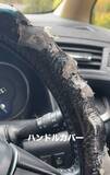 「「たった5分でシートベルトが噛みちぎられた…」犬の“車内破壊”に驚きの声　飼い主が明かした真相と葛藤」の画像1
