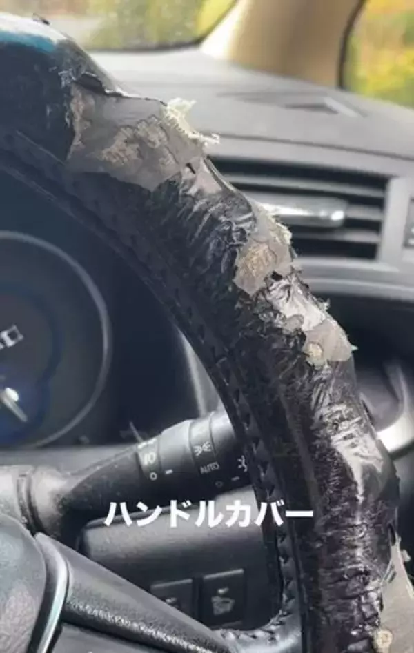 「たった5分でシートベルトが噛みちぎられた…」犬の“車内破壊”に驚きの声　飼い主が明かした真相と葛藤