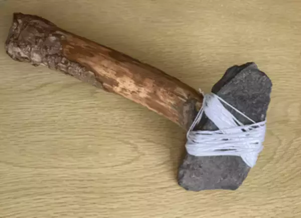 「マンモスに襲われそうになったら使う」小2息子が作ったのは…？　原始人イラストに触発されて、木や石を採集