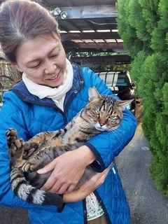 「家に入れてください」再びひとりで訪れた地域猫　家族に迎えると、さまざまな奇跡が「リアル招き猫ですね」