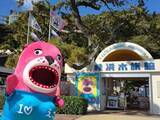 「チンアナゴが仕事を放棄し「虚無アナゴ」に！？　水族館の「チン現象」が話題に、なぜ？「デリケートな性格」「やさしくしてあげて」」の画像1