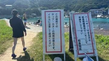 島のビーチに「イルカ注意」の看板　魚の種類がわかるほどの透明度に「仕事ほったらかして、いきてーーー」