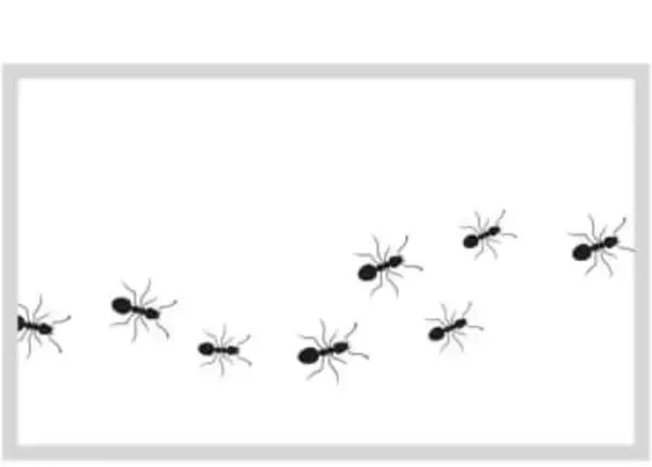 「なんでティッシュにアリがたかる？」その謎を解明！食べるためじゃない意外な理由と効果的な撃退法