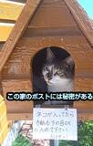 「「私が配達員だったら毎回ワクワク」郵便屋さんがポストに入れず手渡し、なんで？　理由を聞いて、中を覗いたら……思わず笑顔に「癒しですね」」の画像1