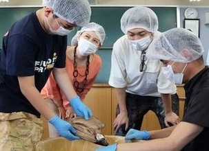 ♪漬け込みたいへしこ　南野陽子さんが「親善大使」務める京都・舞鶴で保存食づくり