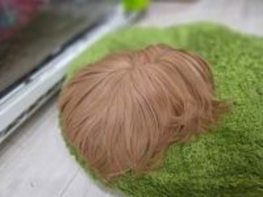 ペットショップで売れ残っていた……これはウィッグ！？　二度見した生きもの、価格は半分に「お迎えしないと後悔する」