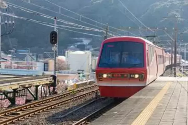 伊豆急行「キンメ電車」に金目鯛がずらり　よく見ると1匹だけ……思わずクスッ　「動体視力が試される！」「シークレットはほかにも」