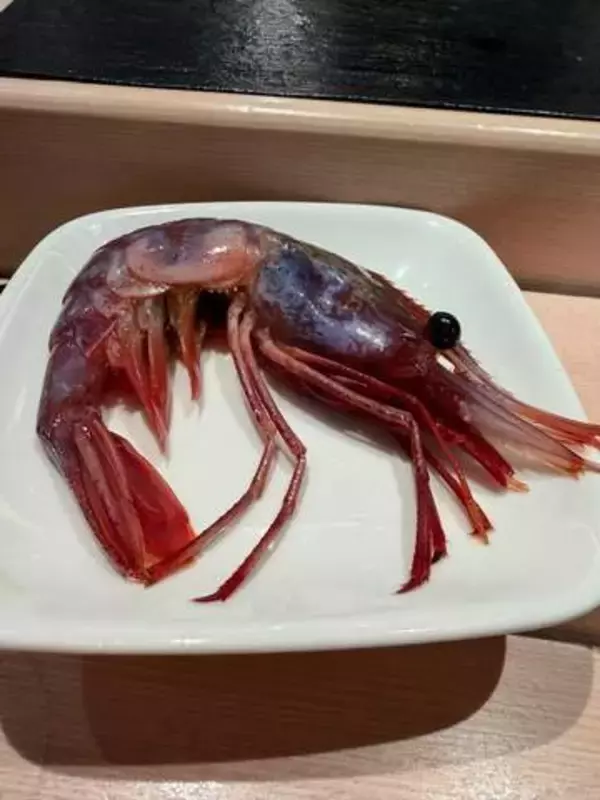 新千歳空港の立ち食い寿司で、おやつ代わりに注文したら……えっ！「単価が1ケタ違うエビ」「馬鹿に丁寧だなと思ったら」