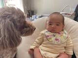 「生後1カ月の赤ちゃんがスヤスヤ…見守る13歳シニア犬が突然「ワンッ！」　泣き出したと思ったら…「ふたりとも可愛い♡」「そのうち一緒に遊べるよ！」」の画像1