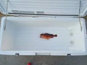 寒ブリ大漁を期待して65Lクーラー2個用意した結果……まさかの釣果に「あるあるですね」「仲間がいてうれしい」